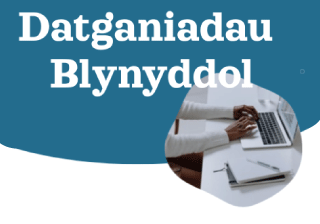 Datganiadua blynyddol - typing at desk