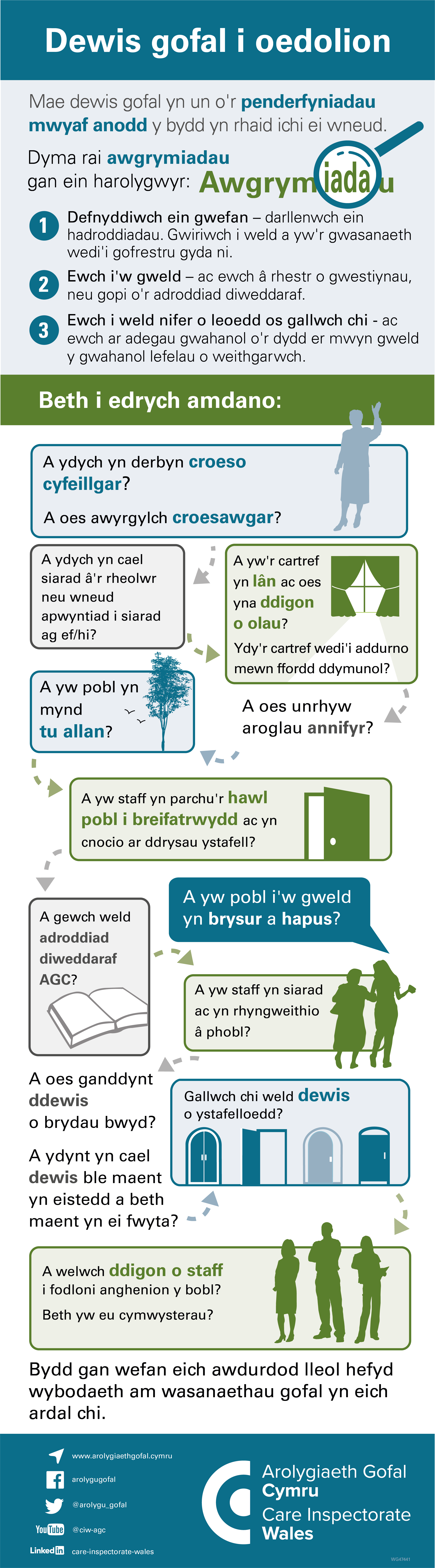 Infograffig dewis gofal i oedolion