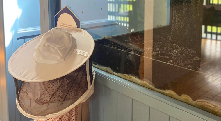 Chil observing beehive in beekeeping equipment