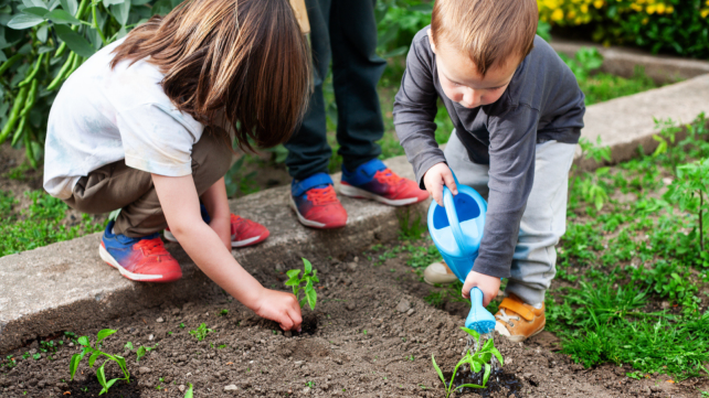 Children planting in garden